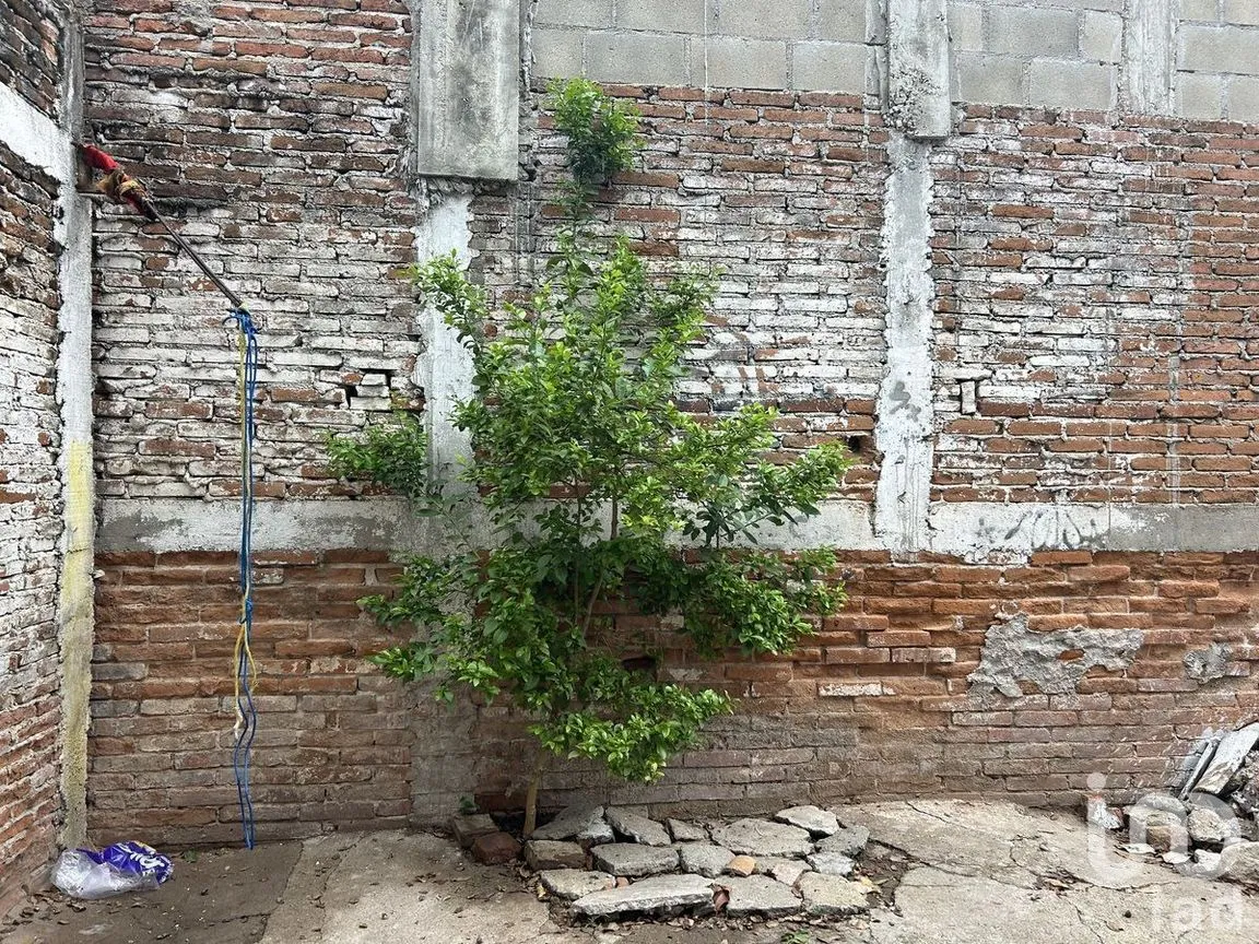 Local en Venta en Tuxtla Gutiérrez Centro, Tuxtla Gutiérrez, Chiapas | NEX-229746 | iad México | Foto 16 de 23