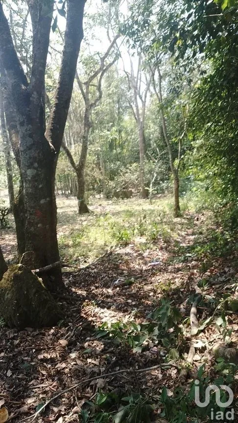 Terreno en Venta en Rosario Poniente, Tuxtla Gutiérrez, Chiapas | NEX-229747 | iad México | Foto 4 de 10