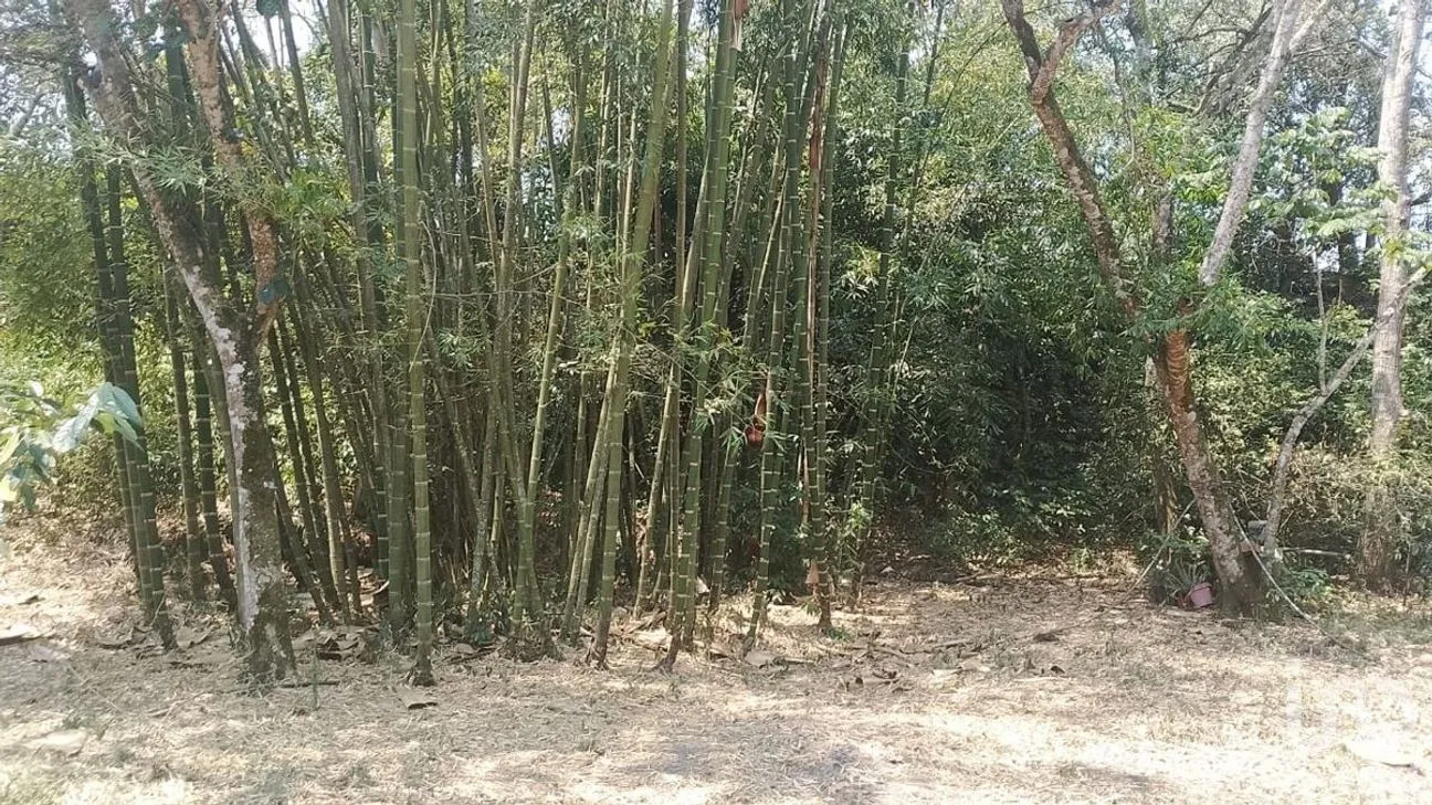 Terreno en Venta en Rosario Poniente, Tuxtla Gutiérrez, Chiapas | NEX-229747 | iad México | Foto 7 de 10