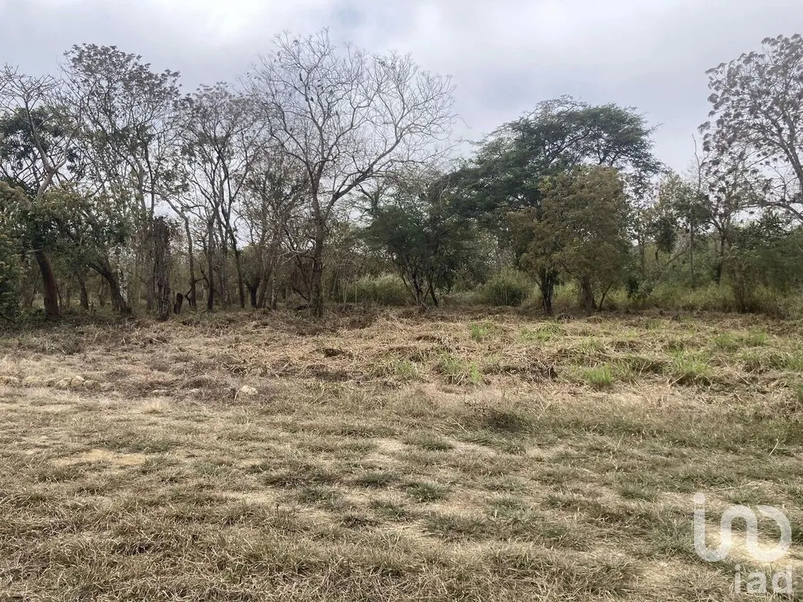 Terreno en Venta en Santa Inés, Berriozábal, Chiapas | NEX-229752 | iad México | Foto 5 de 8
