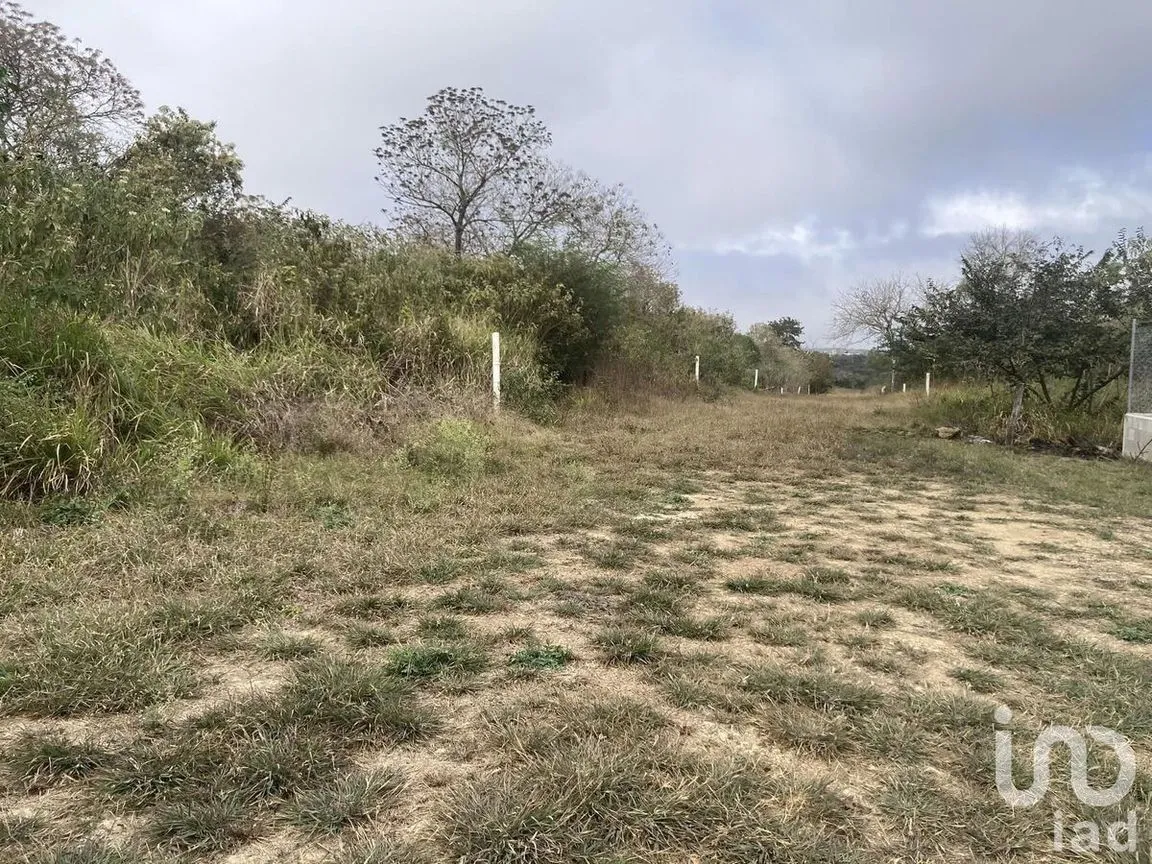 Terreno en Venta en Santa Inés, Berriozábal, Chiapas | NEX-229752 | iad México | Foto 6 de 8