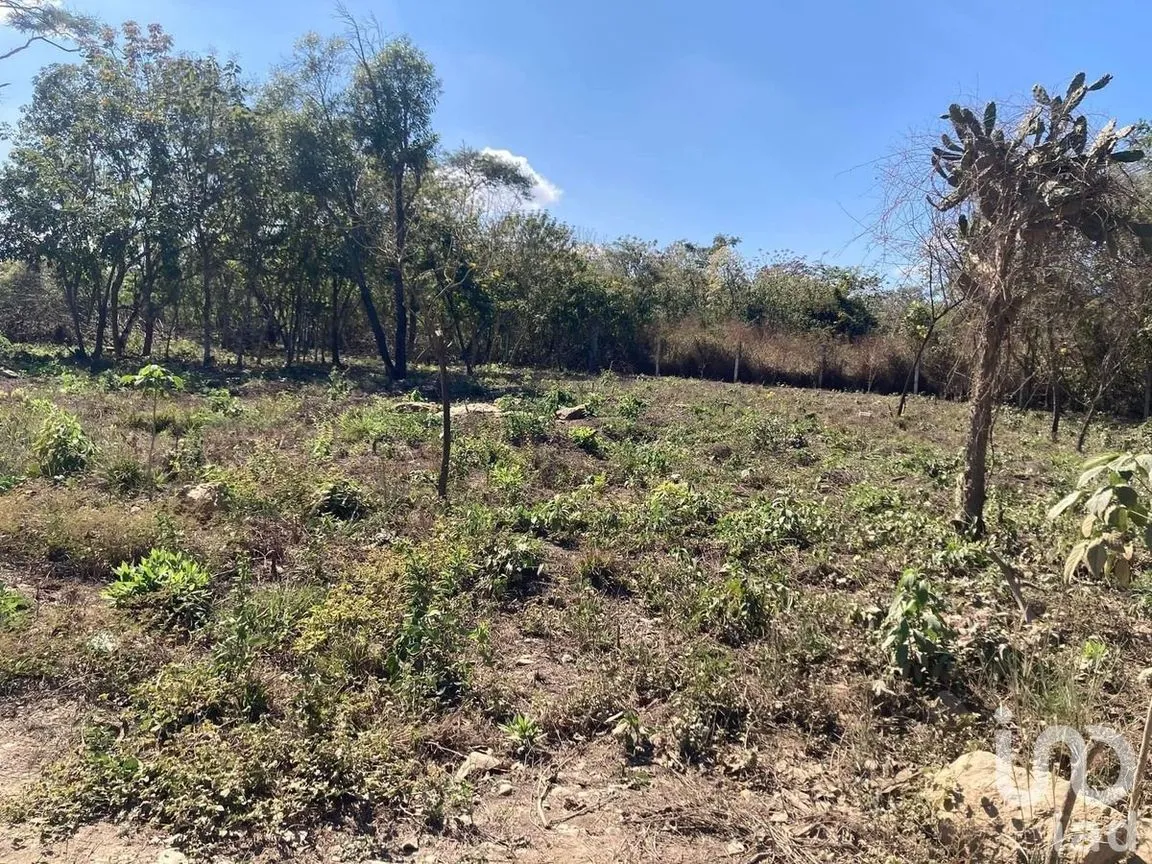 Terreno en Venta en Santa Inés, Berriozábal, Chiapas | NEX-229752 | iad México | Foto 7 de 8