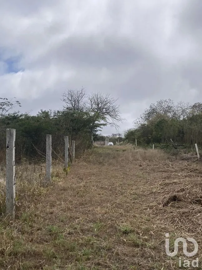 Terreno en Venta en Santa Inés, Berriozábal, Chiapas | NEX-229752 | iad México | Foto 8 de 8