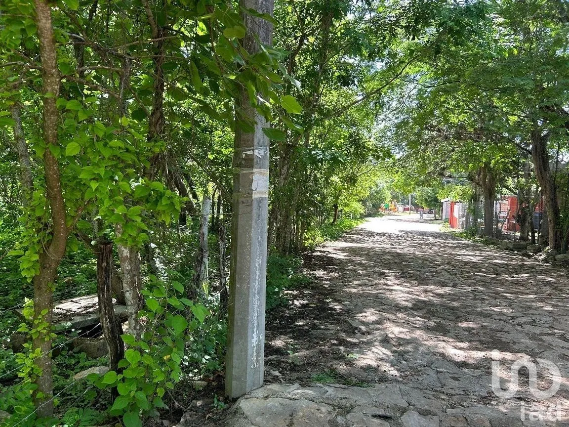 Terreno en Venta en San Antonio Bombano, Berriozábal, Chiapas | NEX-230297 | iad México | Foto 11 de 11