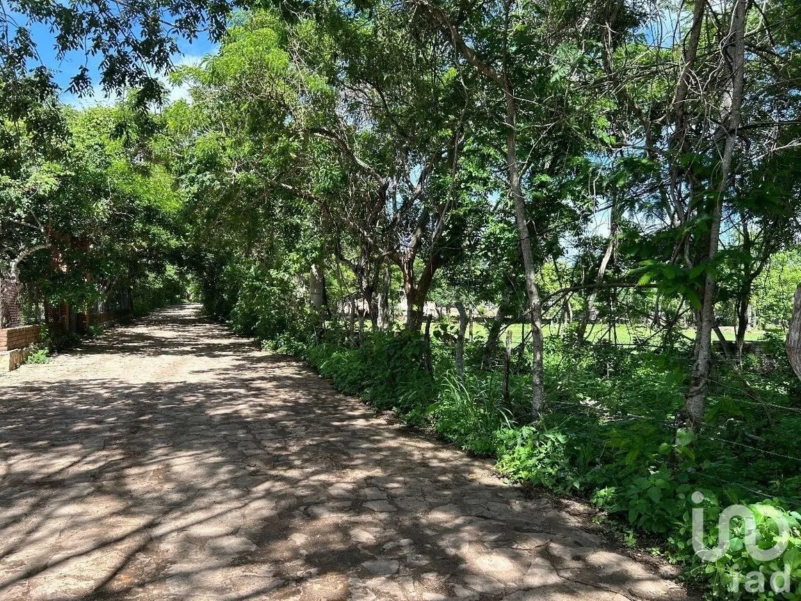 Terreno en Venta en San Antonio Bombano, Berriozábal, Chiapas | NEX-230297 | iad México | Foto 5 de 11