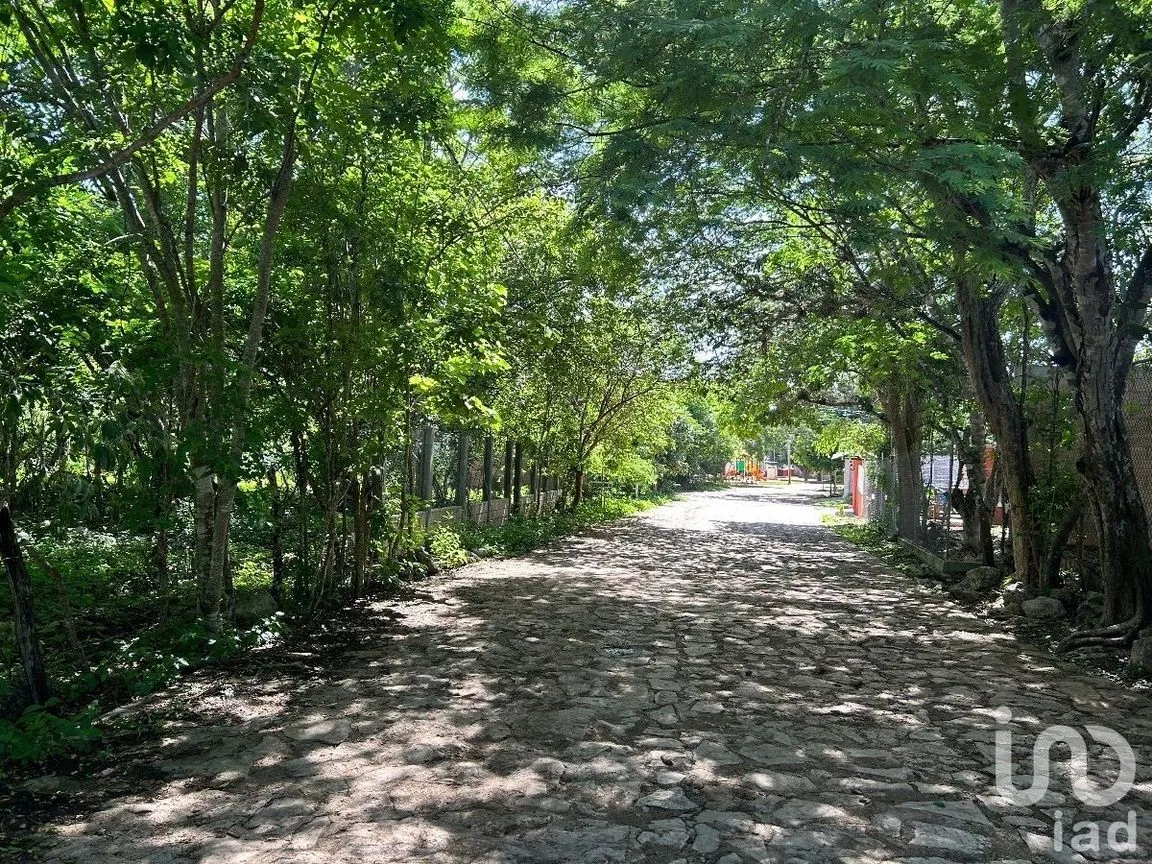 Terreno en Venta en San Antonio Bombano, Berriozábal, Chiapas | NEX-230297 | iad México | Foto 1 de 11