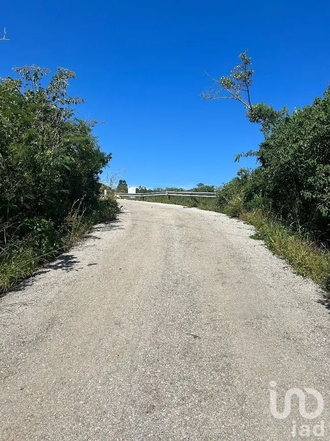 Terreno en Venta en Amendu, Berriozábal, Chiapas | NEX-230298 | iad México | Foto 6 de 7
