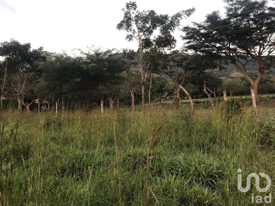 Terreno en Venta en Cruz Blanca, Ocozocoautla de Espinosa, Chiapas | NEX-230301 | iad México | Foto 2 de 5