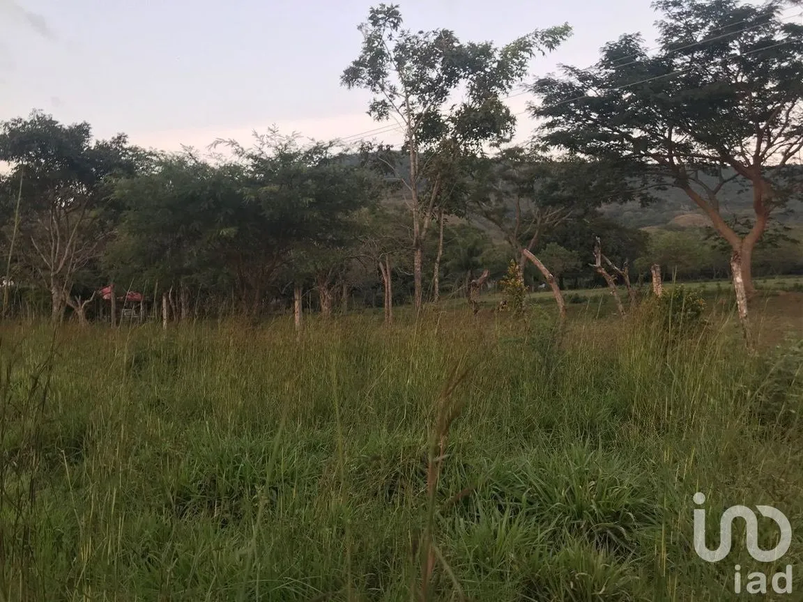 Terreno en Venta en Cruz Blanca, Ocozocoautla de Espinosa, Chiapas | NEX-230301 | iad México | Foto 1 de 5
