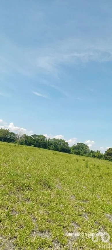 Terreno en Venta en Ciudad Hidalgo, Suchiate, Chiapas | NEX-230304 | iad México | Foto 2 de 7