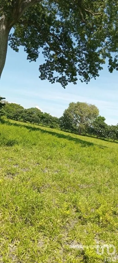 Terreno en Venta en Ciudad Hidalgo, Suchiate, Chiapas | NEX-230304 | iad México | Foto 3 de 7