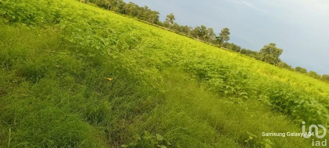 Terreno en Venta en Ciudad Hidalgo, Suchiate, Chiapas | NEX-230304 | iad México | Foto 5 de 7