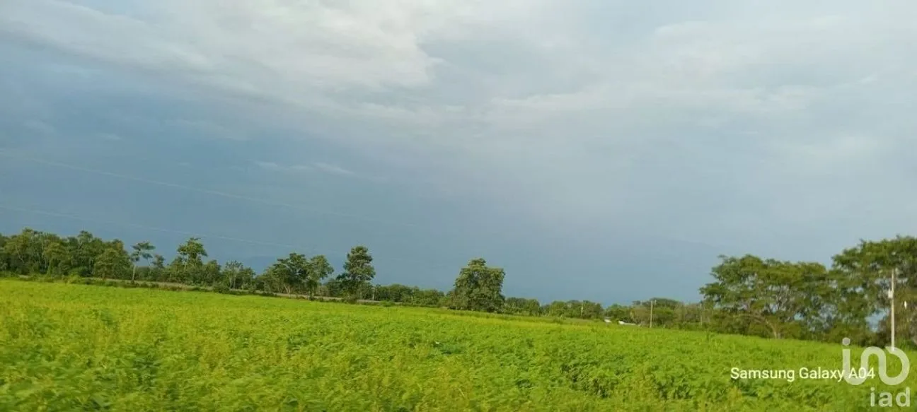 Terreno en Venta en Ciudad Hidalgo, Suchiate, Chiapas | NEX-230304 | iad México | Foto 7 de 7