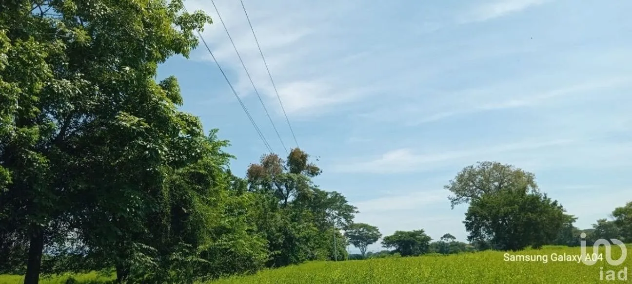 Terreno en Venta en Ciudad Hidalgo, Suchiate, Chiapas | NEX-230304 | iad México | Foto 1 de 7
