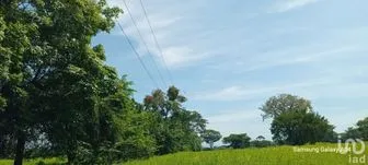 NEX-230304 - Terreno en Venta en Ciudad Hidalgo, CP 30840, Chiapas.