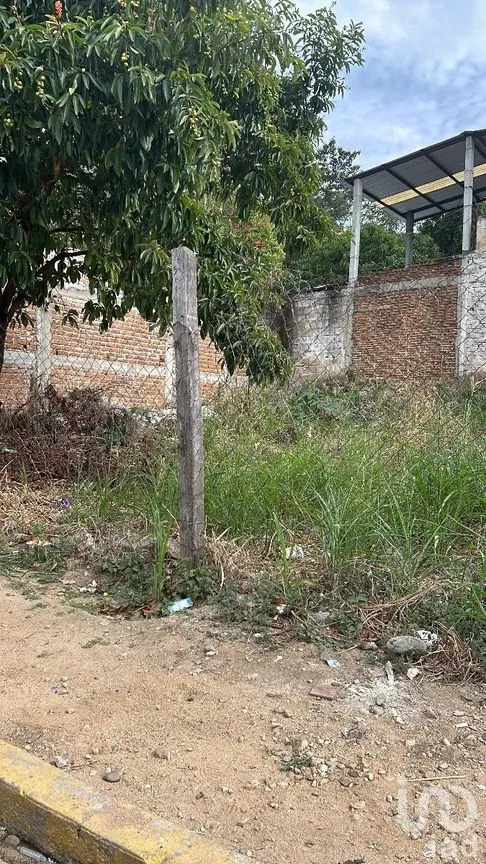 Terreno en Renta en Villaflores Centro, Villaflores, Chiapas | NEX-230305 | iad México | Foto 3 de 6