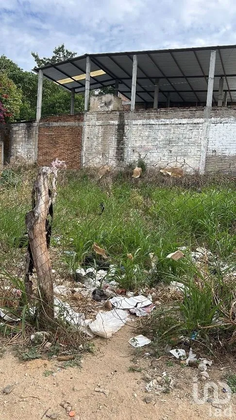 Terreno en Renta en Villaflores Centro, Villaflores, Chiapas | NEX-230305 | iad México | Foto 6 de 6