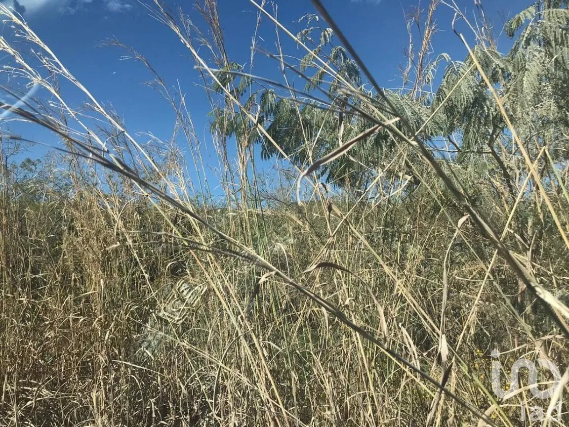 Terreno en Venta en Terán, Tuxtla Gutiérrez, Chiapas | NEX-279830 | iad México | Foto 5 de 6