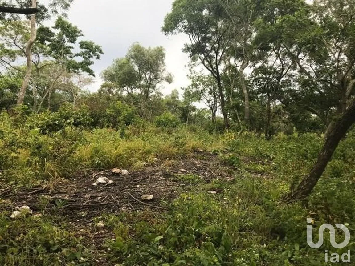 Terreno en Venta en El Jobo, Tuxtla Gutiérrez, Chiapas | NEX-279832 | iad México | Foto 2 de 8