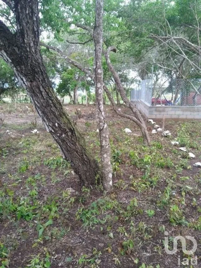 Terreno en Venta en El Jobo, Tuxtla Gutiérrez, Chiapas | NEX-279832 | iad México | Foto 4 de 8