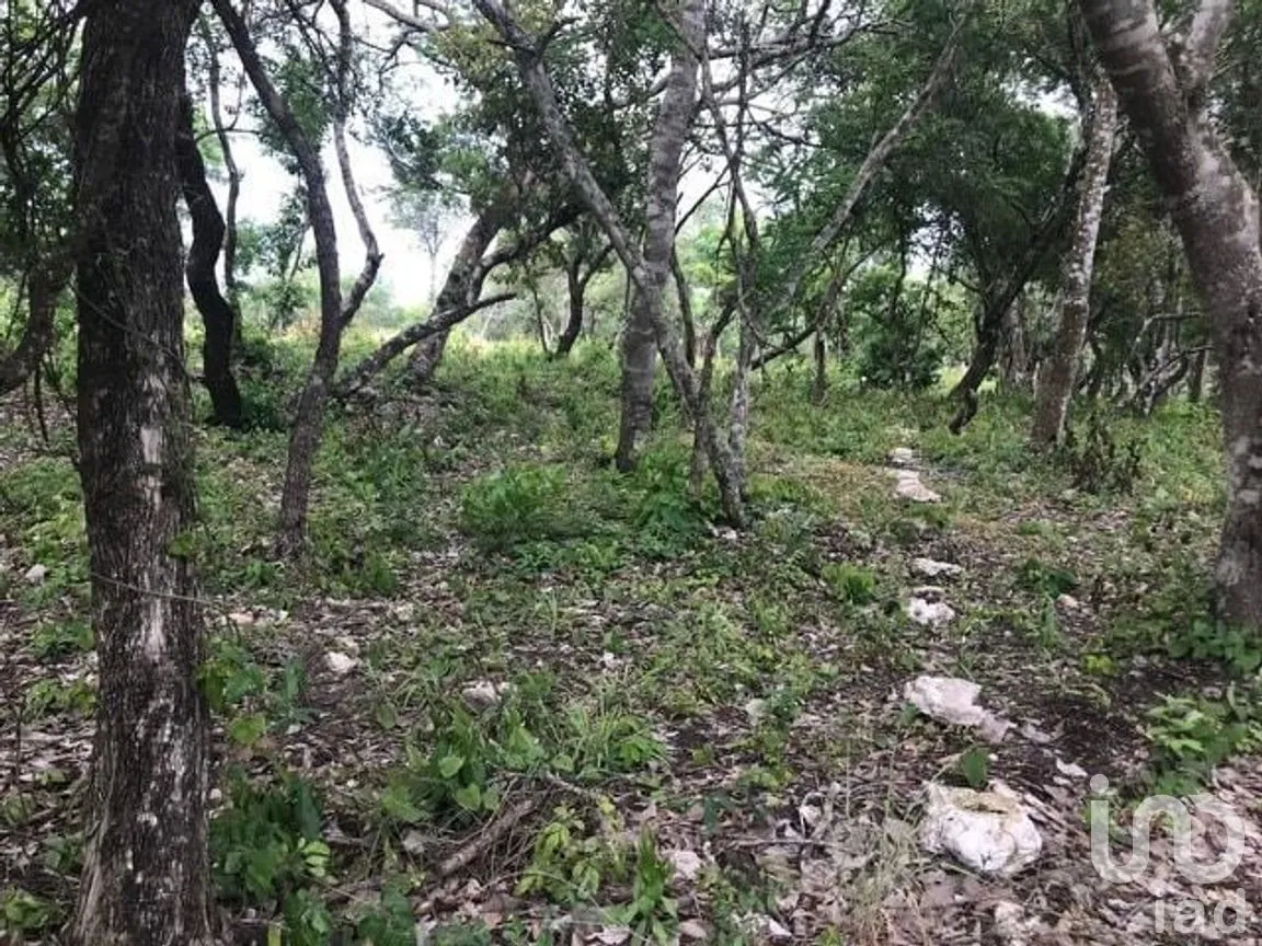 Terreno en Venta en El Jobo, Tuxtla Gutiérrez, Chiapas | NEX-279832 | iad México | Foto 5 de 8