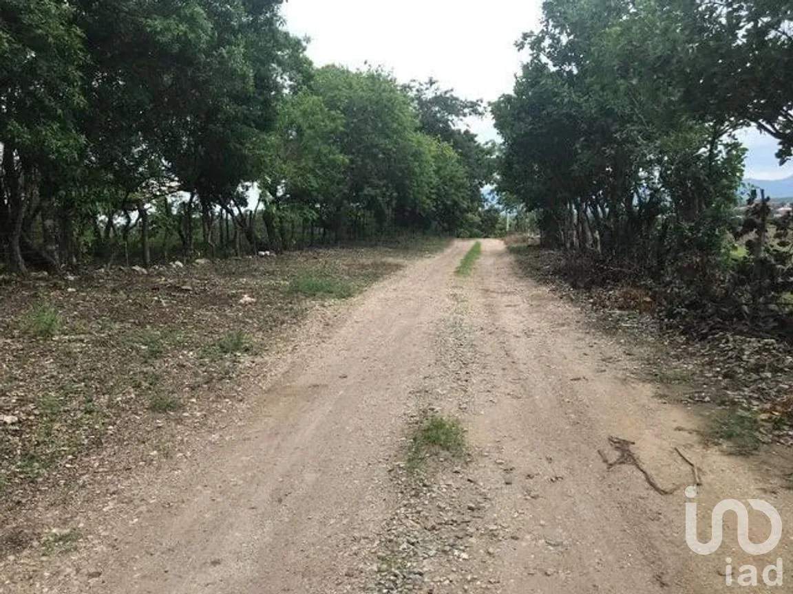 Terreno en Venta en El Jobo, Tuxtla Gutiérrez, Chiapas | NEX-279832 | iad México | Foto 1 de 8