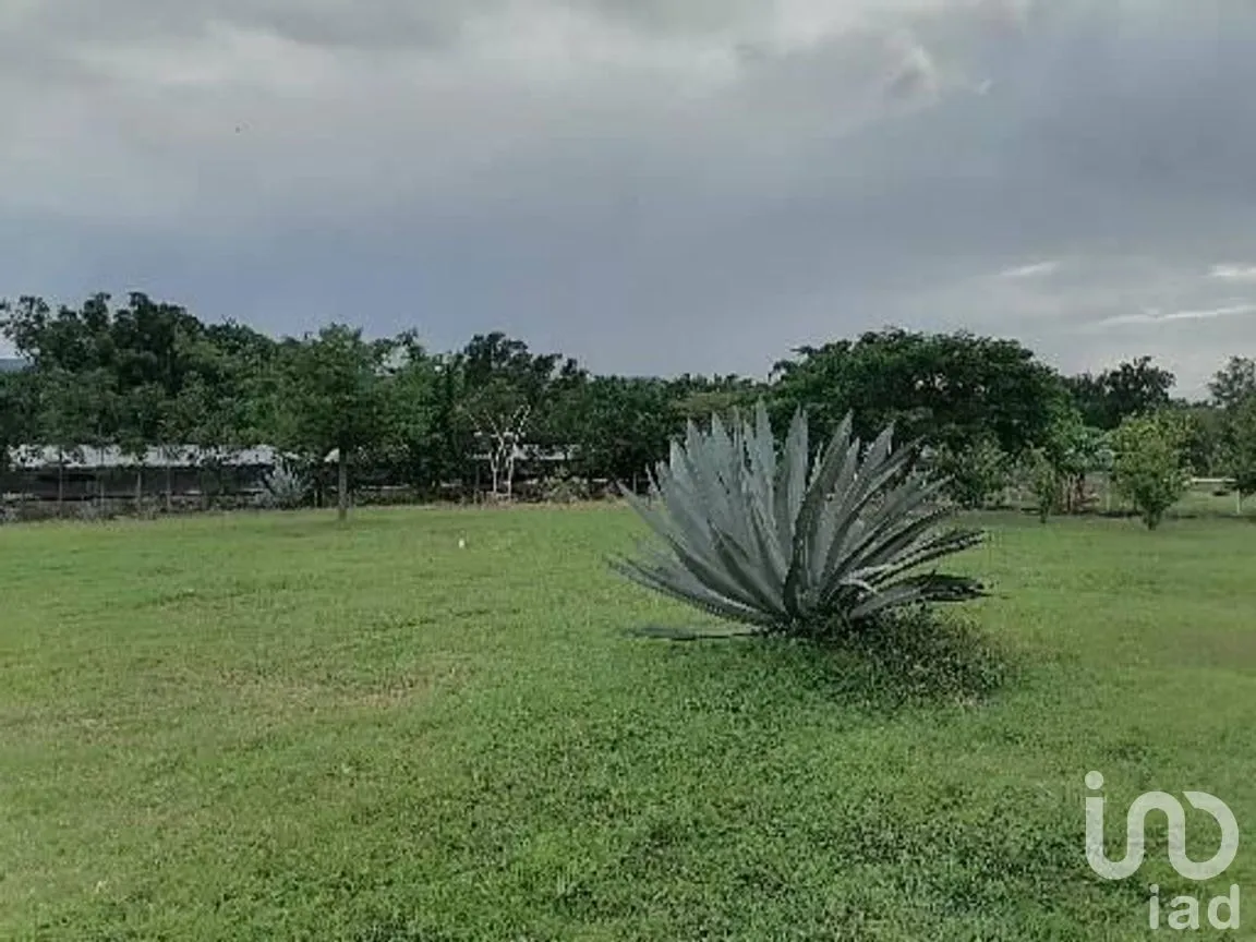 Terreno en Venta en Terán, Tuxtla Gutiérrez, Chiapas | NEX-279856 | iad México | Foto 4 de 12