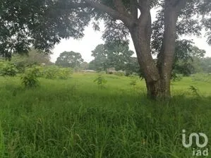 NEX-279877 - Terreno en Venta en Santa Cruz, CP 29130, Chiapas.
