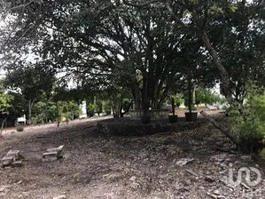 NEX-279894 - Casa en Venta en Cerro de Guadalupe, CP 29045, Chiapas.