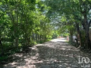 NEX-279899 - Terreno en Venta en San Antonio Bombano, CP 29130, Chiapas.