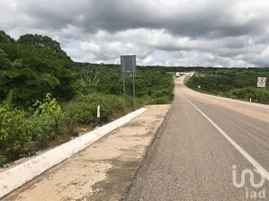 NEX-279911 - Terreno en Venta en El Palmar, CP 29130, Chiapas.
