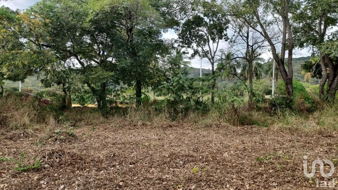 Terreno en Venta en La Popular, Villaflores, Chiapas | NEX-279914 | iad México | Foto 13 de 13