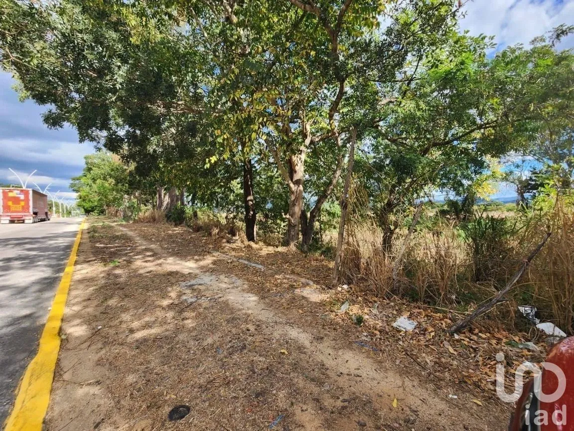 Terreno en Venta en La Popular, Villaflores, Chiapas | NEX-279914 | iad México | Foto 7 de 13