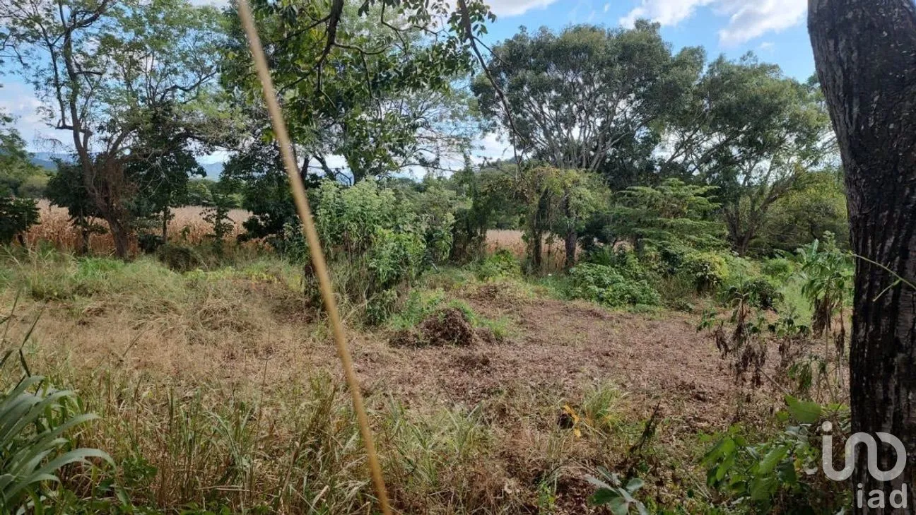 Terreno en Venta en La Popular, Villaflores, Chiapas | NEX-279914 | iad México | Foto 10 de 13