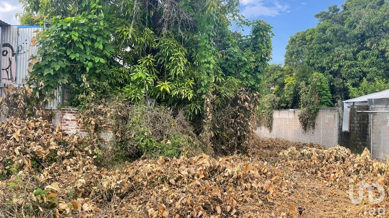 Terreno en Venta en El Cerrito, Tuxtla Gutiérrez, Chiapas | NEX-279934 | iad México | Foto 3 de 4