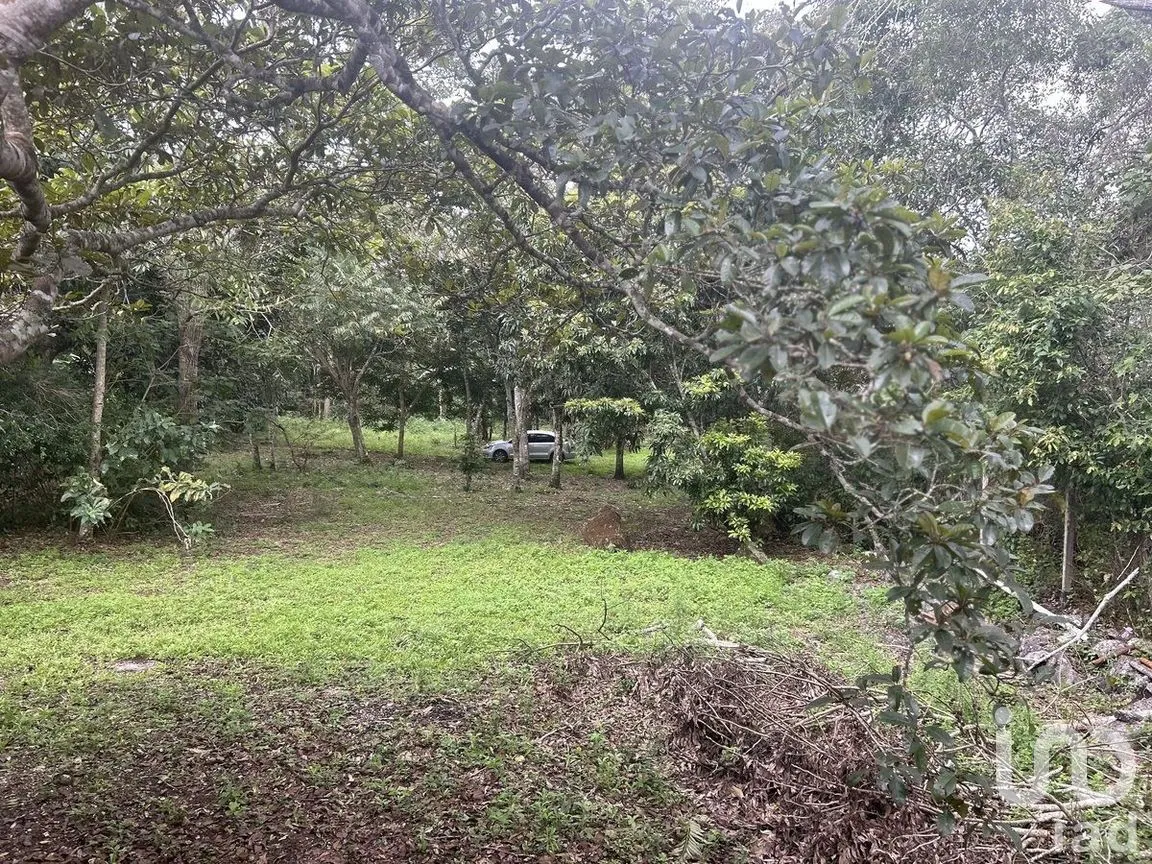 Terreno en Venta en Rosario Poniente, Tuxtla Gutiérrez, Chiapas | NEX-279937 | iad México | Foto 13 de 38