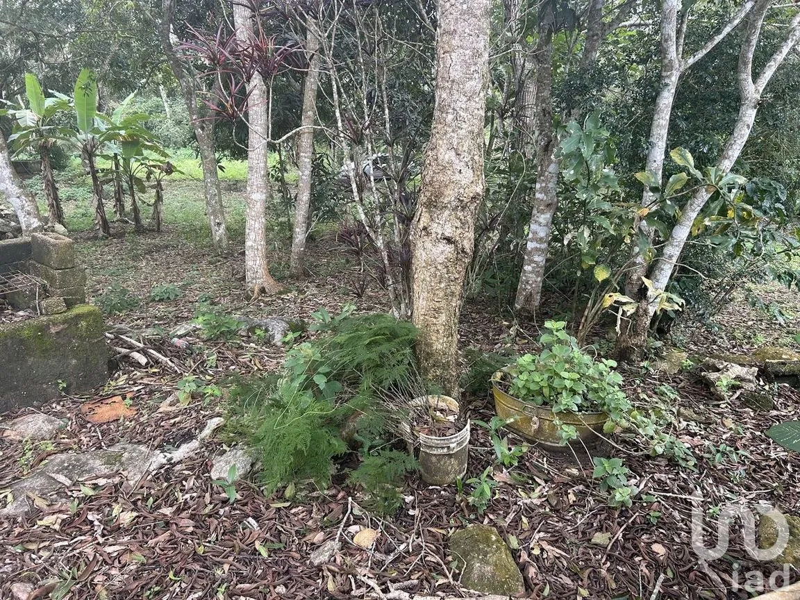 Terreno en Venta en Rosario Poniente, Tuxtla Gutiérrez, Chiapas | NEX-279937 | iad México | Foto 14 de 38