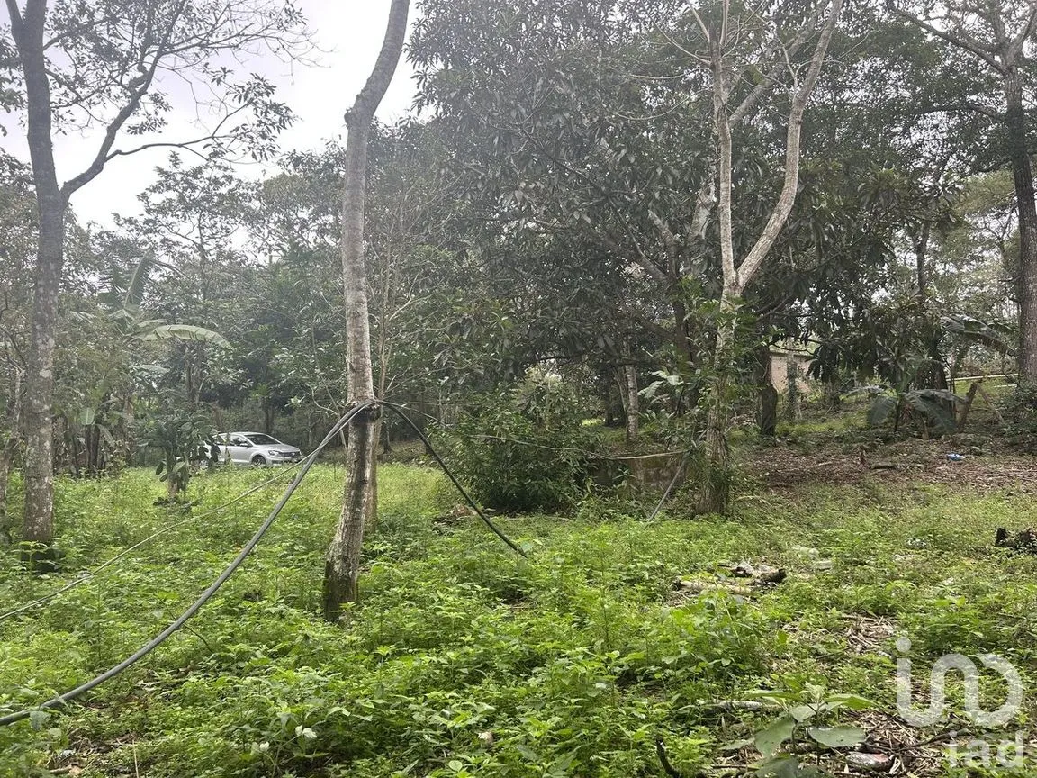 Terreno en Venta en Rosario Poniente, Tuxtla Gutiérrez, Chiapas | NEX-279937 | iad México | Foto 16 de 38