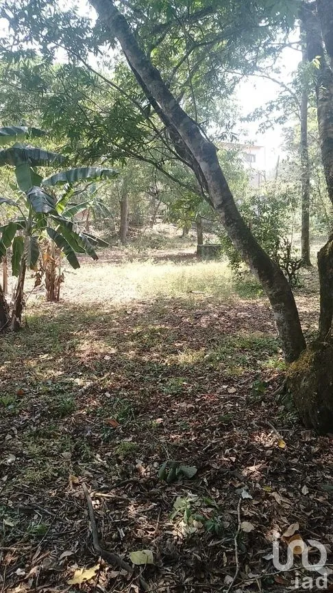 Terreno en Venta en Rosario Poniente, Tuxtla Gutiérrez, Chiapas | NEX-279937 | iad México | Foto 3 de 38