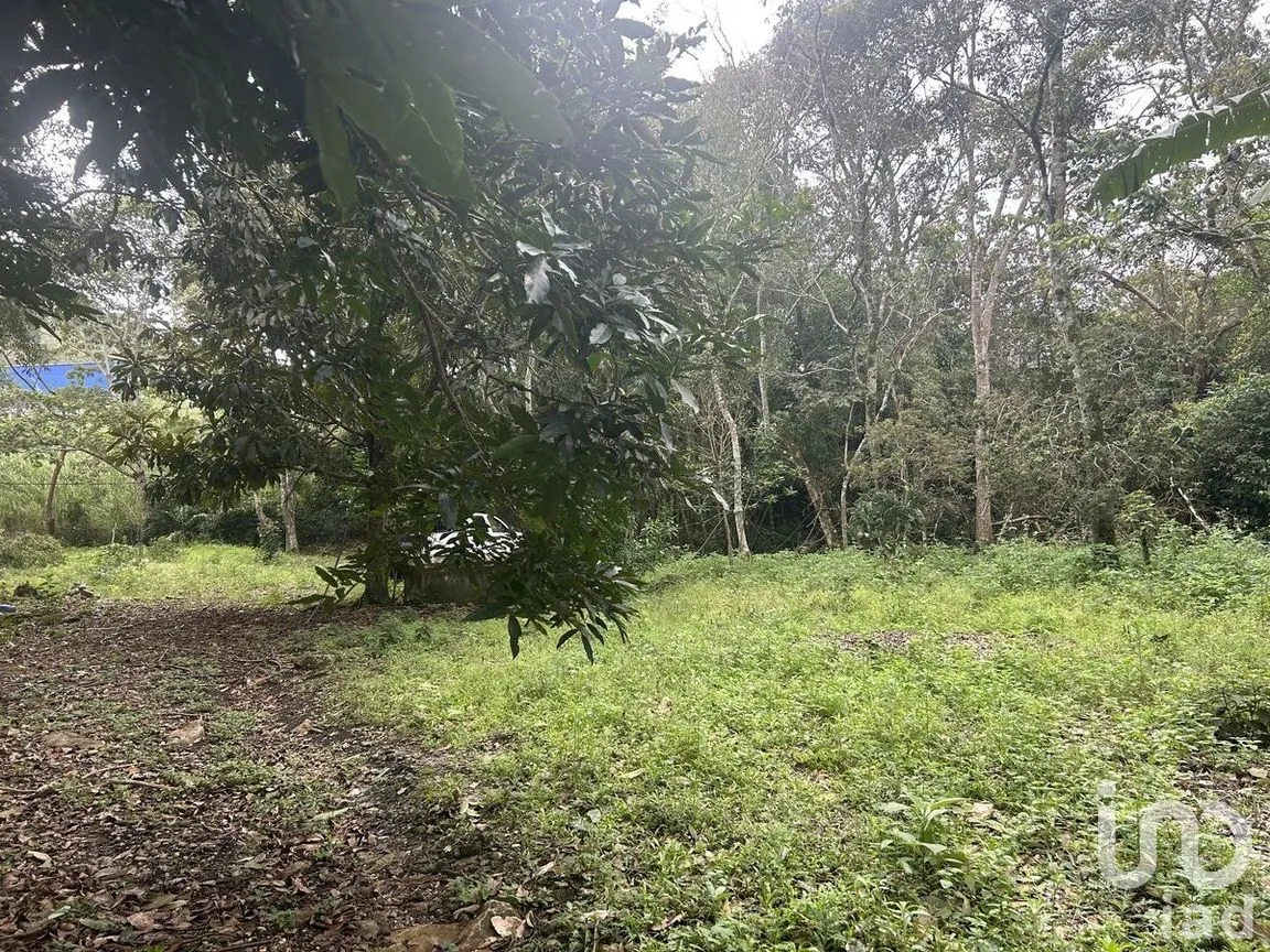 Terreno en Venta en Rosario Poniente, Tuxtla Gutiérrez, Chiapas | NEX-279937 | iad México | Foto 36 de 38