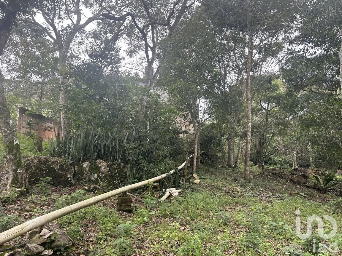 Terreno en Venta en Rosario Poniente, Tuxtla Gutiérrez, Chiapas | NEX-279937 | iad México | Foto 37 de 38