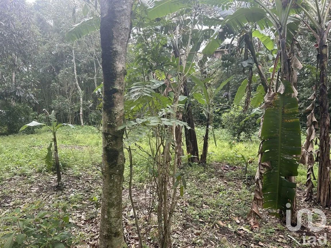 Terreno en Venta en Rosario Poniente, Tuxtla Gutiérrez, Chiapas | NEX-279937 | iad México | Foto 38 de 38