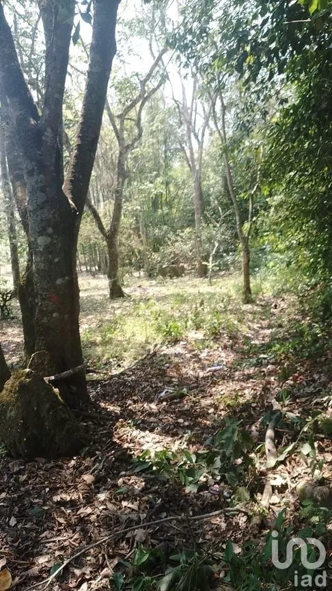 Terreno en Venta en Rosario Poniente, Tuxtla Gutiérrez, Chiapas | NEX-279937 | iad México | Foto 5 de 38