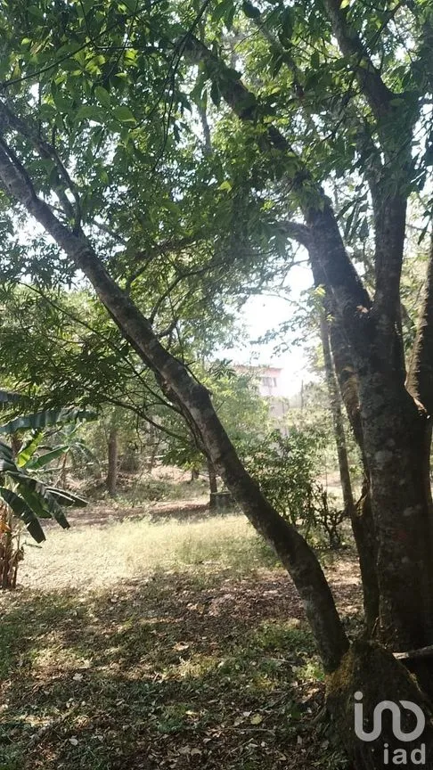 Terreno en Venta en Rosario Poniente, Tuxtla Gutiérrez, Chiapas | NEX-279937 | iad México | Foto 6 de 38