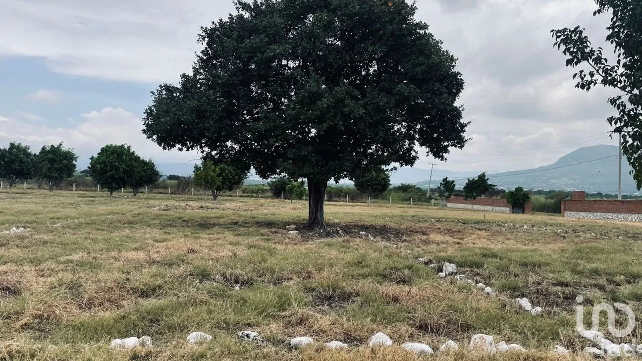 Terreno en Venta en San José Terán, Tuxtla Gutiérrez, Chiapas | NEX-279938 | iad México | Foto 4 de 12