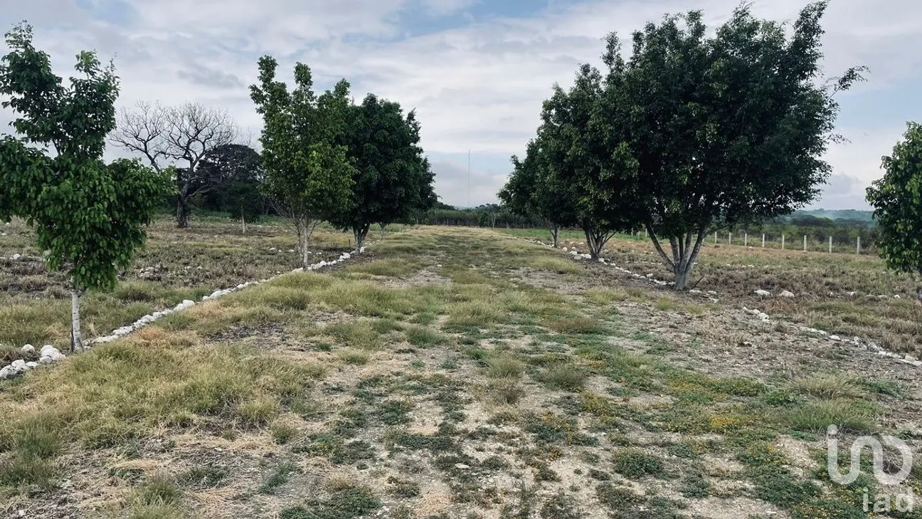 Terreno en Venta en San José Terán, Tuxtla Gutiérrez, Chiapas | NEX-279938 | iad México | Foto 5 de 12