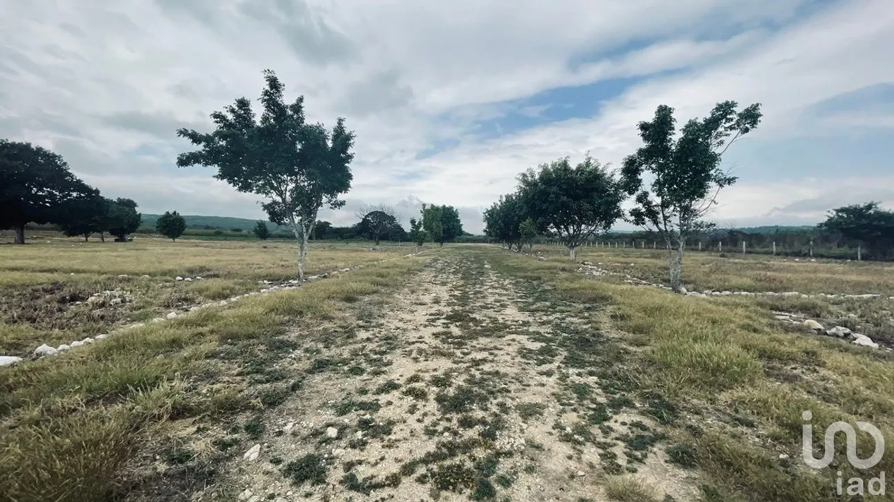 Terreno en Venta en San José Terán, Tuxtla Gutiérrez, Chiapas | NEX-279938 | iad México | Foto 7 de 12