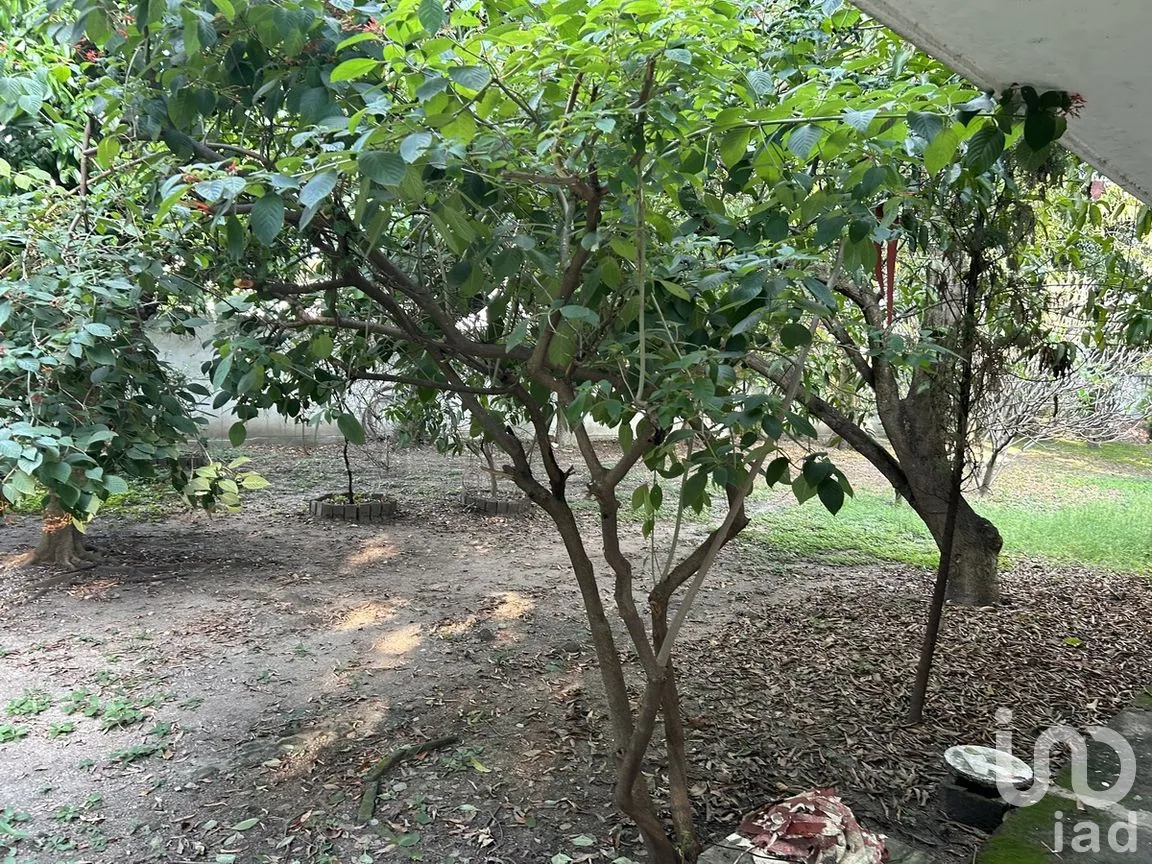 Terreno en Venta en Plan de Ayala, Tuxtla Gutiérrez, Chiapas | NEX-279947 | iad México | Foto 3 de 17