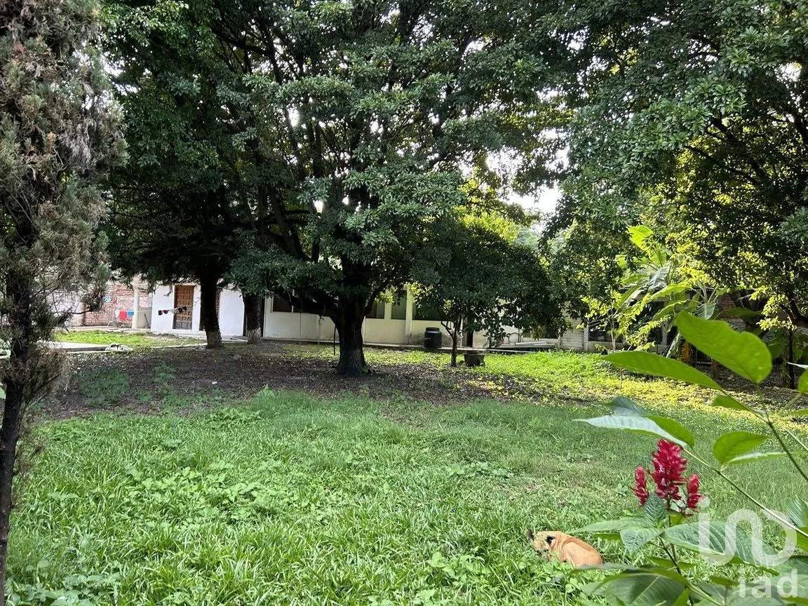 Terreno en Venta en Plan de Ayala, Tuxtla Gutiérrez, Chiapas | NEX-279947 | iad México | Foto 7 de 17