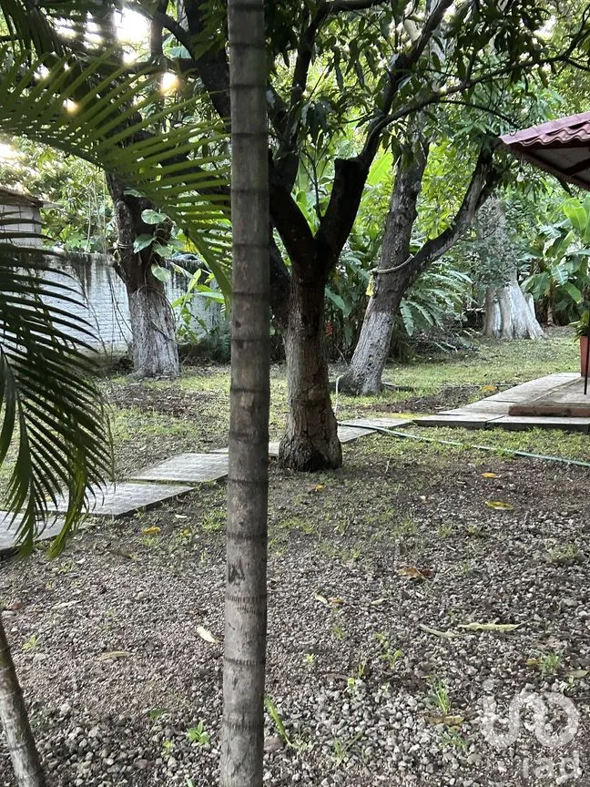 Terreno en Venta en Juan Crispín, Tuxtla Gutiérrez, Chiapas | NEX-279948 | iad México | Foto 12 de 21